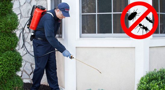 Terme Böcek ve Haşere İlaçlama böcek ilaçlama ve haşere kontrolü — ilaclama-tr.com